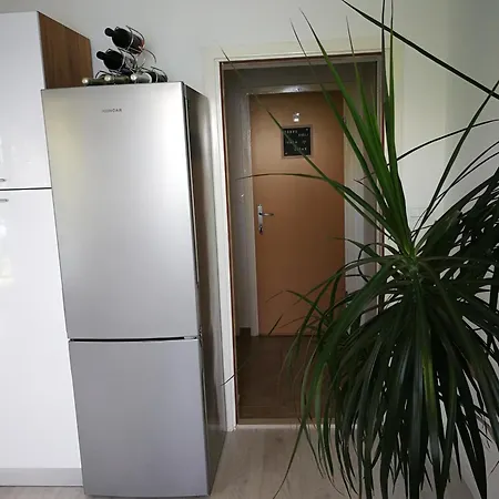 Mljet Apartment